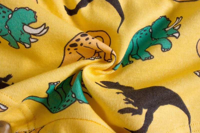 Boboking Little Boys Briefs Dinosaur Truck Toddler Kids Underwear 5Yrs - Image 3
